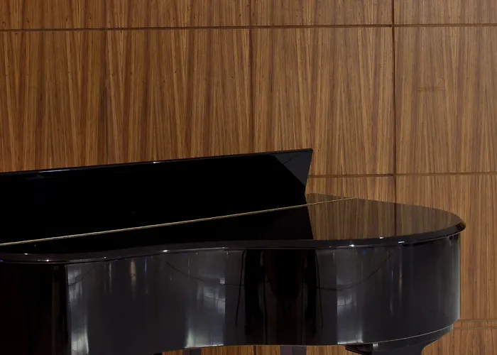 Radisson Blu Hotel, Athlone